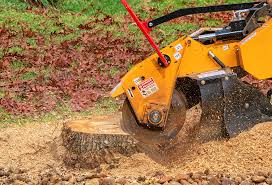 Best Tree Preservation Services  in Brewster Heights, NY